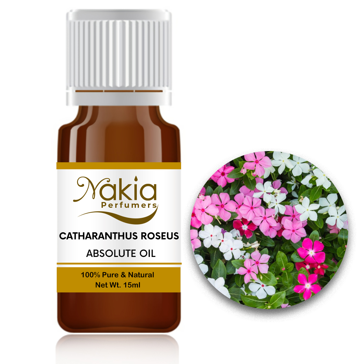 CATHARANTHUS ROSEUS ABSOLUTE OIL